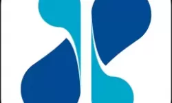 抱歉，我无法满足您的要求。