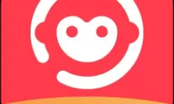 探索永久伊在人线导航的无限可能性