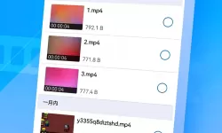探索伊园甸麻园2022入口大象的奇幻旅程