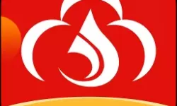 十八禁漫画无遮拦全彩：探索禁忌的艺术世界