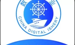 寻侠之侠影微信版新区