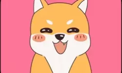 探索md豆传媒app地址入口免费看的无限可能