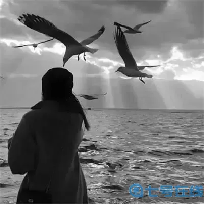 二次元人物桶二次元人物软件