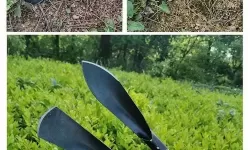 阴阳双剑封神宝库铲子第一层多少挖完