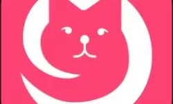 扒衣播理论片：探究媒介与文化的交融