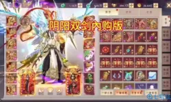 阴阳双剑如何激活神兽助战