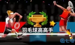 羽毛球高高手返回不了主页