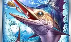 永恒雷霆辅助脚本