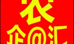 御剑仙缘选什么职业