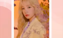 探秘臧精阁9117安全入口：网络安全新前沿