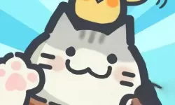 云上大陆哪个职业最强