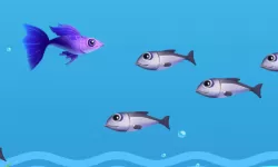 御龙无双武将技能