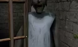 无需下载直接进入的网站：颠覆传统浏览体验的全新选择