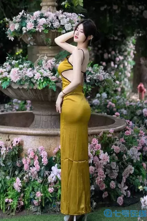 一级毛免费观看