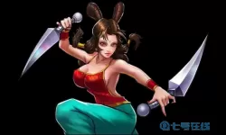 真赵云无双有倾城貂蝉技能介绍