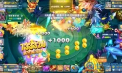 指尖捕鱼金币怎么换钱