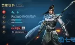 真赵云无双30资质武将