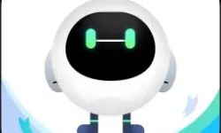 14147最大但人文艺术的魅力与探索