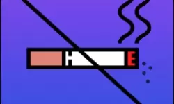 真赵云无双游客初始密码