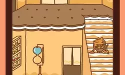 住客大人的心愿客人老铁