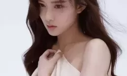 探索永久不收费免费的聊天软件的无限可能