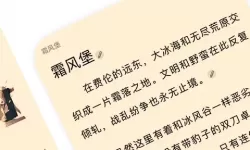 在星空下的梦幻果冻61免费之旅