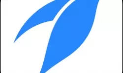 91星空丶梦幻果冻：在夜空下的甜蜜幻想