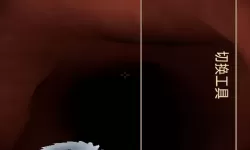 探索十八款免费尿道入口的趣味与挑战