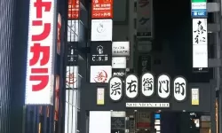 遨游日本下载不了