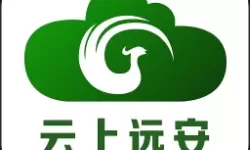 比较简单的大冒险马路杀手成就