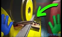 波比的时间里的1006号实验