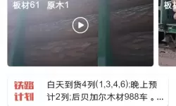 比较简单的大冒险奇怪的成就怎么获得