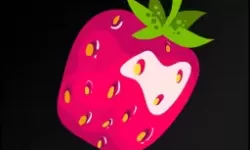 超级群英传五星诸葛亮