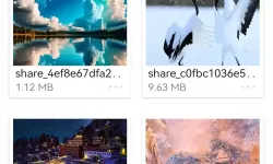 四影虎玩新地址8844mc：探秘全新游戏体验与乐趣