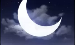 杨贵妃传媒网址入口:探索古典与现代交融的艺术之旅