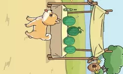 超级群英传平民攻略