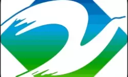 吃屎喝尿重口呕吐：探讨极端饮食背后的心理因素