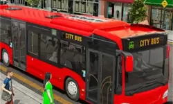 老许小雪婚礼强开小嫩苞：爱与勇气的交织