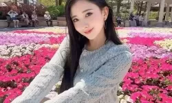 菠萝蜜影视传媒有限公司：探索电影与传媒的无限可能性