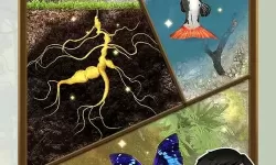 夺笋高手第12福图