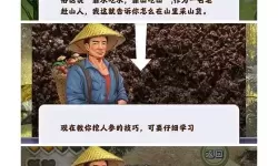 夺笋高手八月炸在哪里多