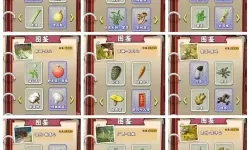 夺笋高手红包版能提现吗