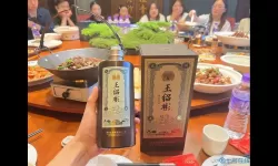 攻城掠地桃花散酒怎么用