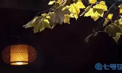 攻城掠地凤凰于飞金匣是什么