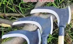 割草的100种方式怎么给动物加草