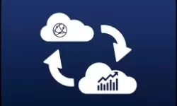 欧美成人精品一级A片小泽的魅力与影响