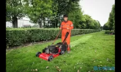 割草的100种方式叫什么