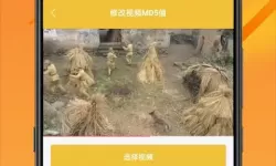 探讨女女爱那些视频背后的情感与故事