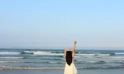 众乐乐新入口娜娜：探索多元文化交融的奇妙之旅