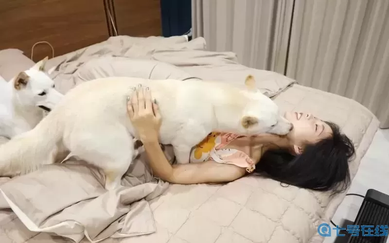 麻花传媒剧国产剧情